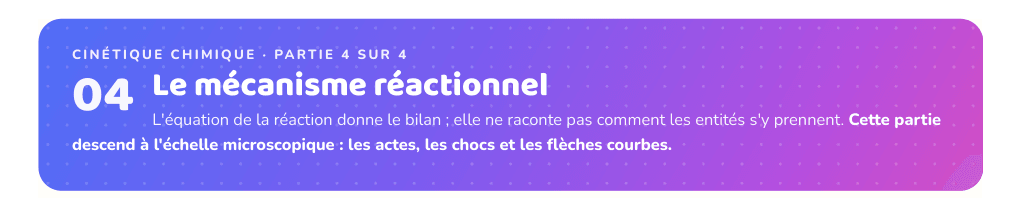 Partie 4 : Le mécanisme réactionnel