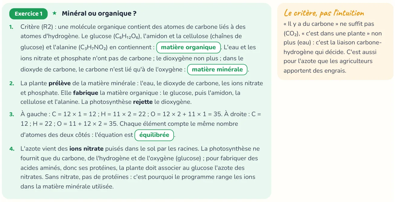 Un corrigé du cahier « La photosynthèse et l'énergie du vivant ».
