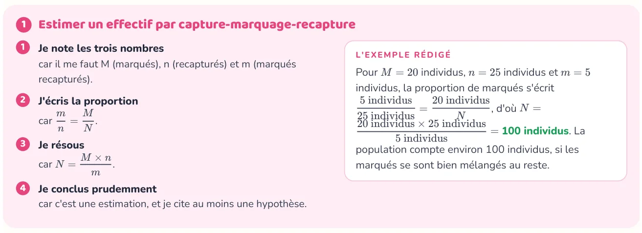 La méthode donne les étapes