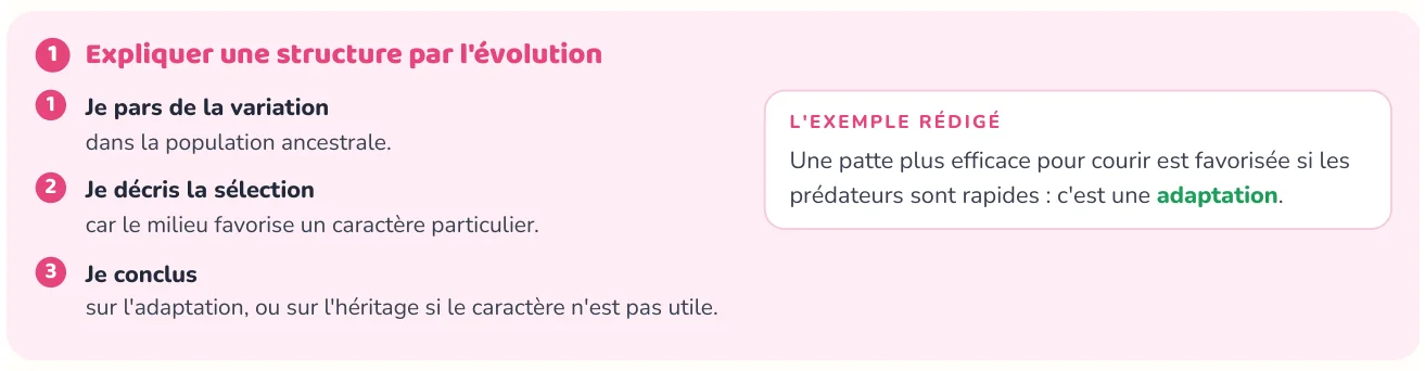 La méthode donne les étapes