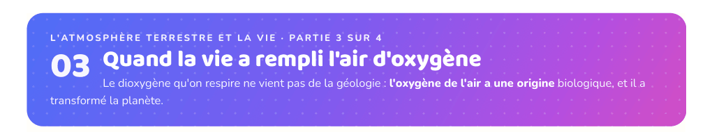 Partie 3 : Quand la vie a rempli l'air d'oxygène