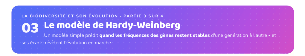 Partie 3 : Le modèle de Hardy-Weinberg
