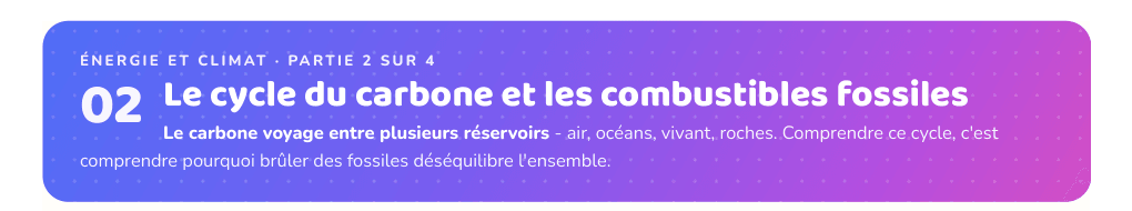 Partie 2 : Le cycle du carbone et les combustibles fossiles