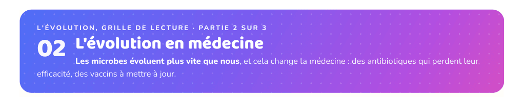 Partie 2 : L'évolution en médecine
