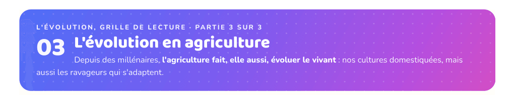 Partie 3 : L'évolution en agriculture