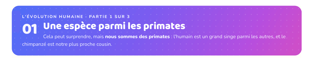 Partie 1 : Une espèce parmi les primates