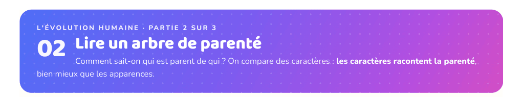 Partie 2 : Lire un arbre de parenté