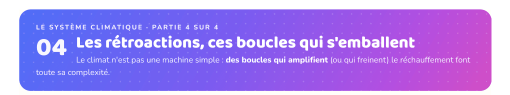 Partie 4 : Les rétroactions, ces boucles qui s'emballent