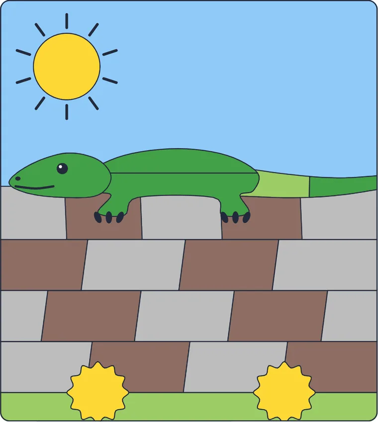 Le lézard sur le mur : le dessin une fois colorié