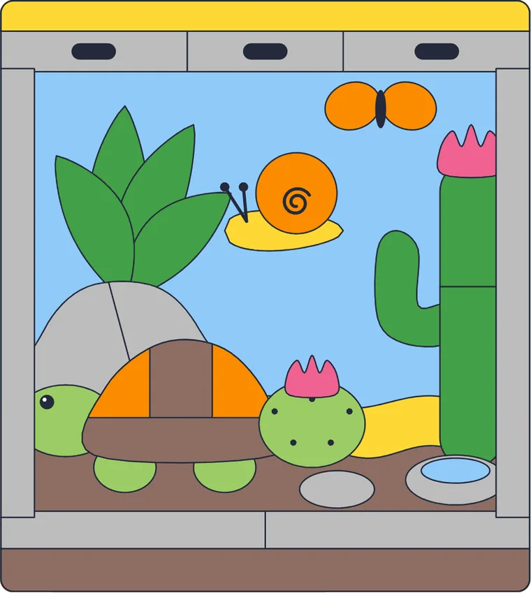 Le terrarium : le dessin une fois colorié