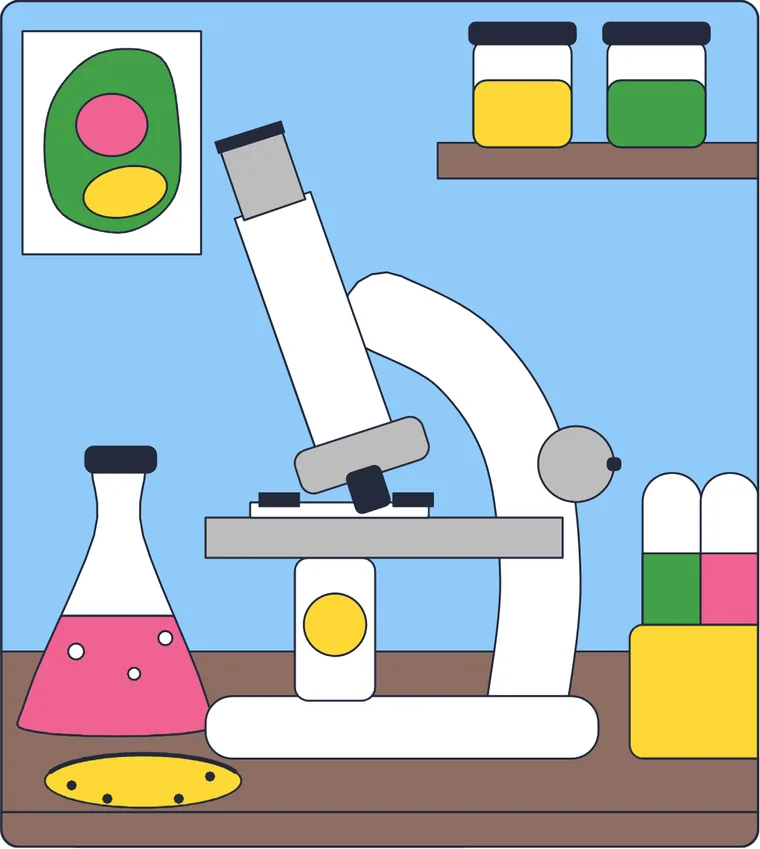 Le microscope : le dessin une fois colorié